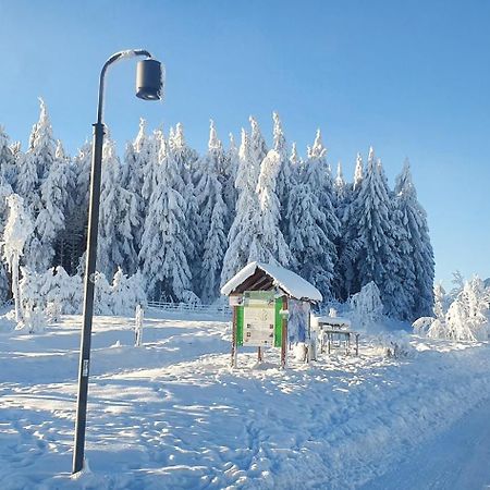 Apartamento Haus Schneider Winterberg Exterior foto