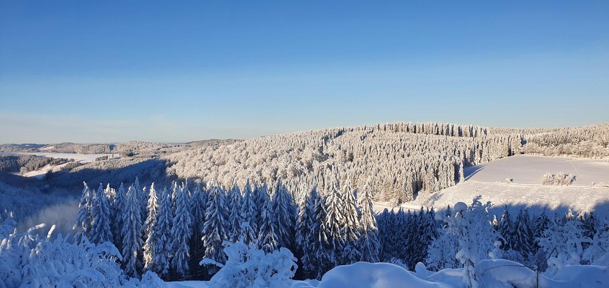 Apartamento Haus Schneider Winterberg Exterior foto