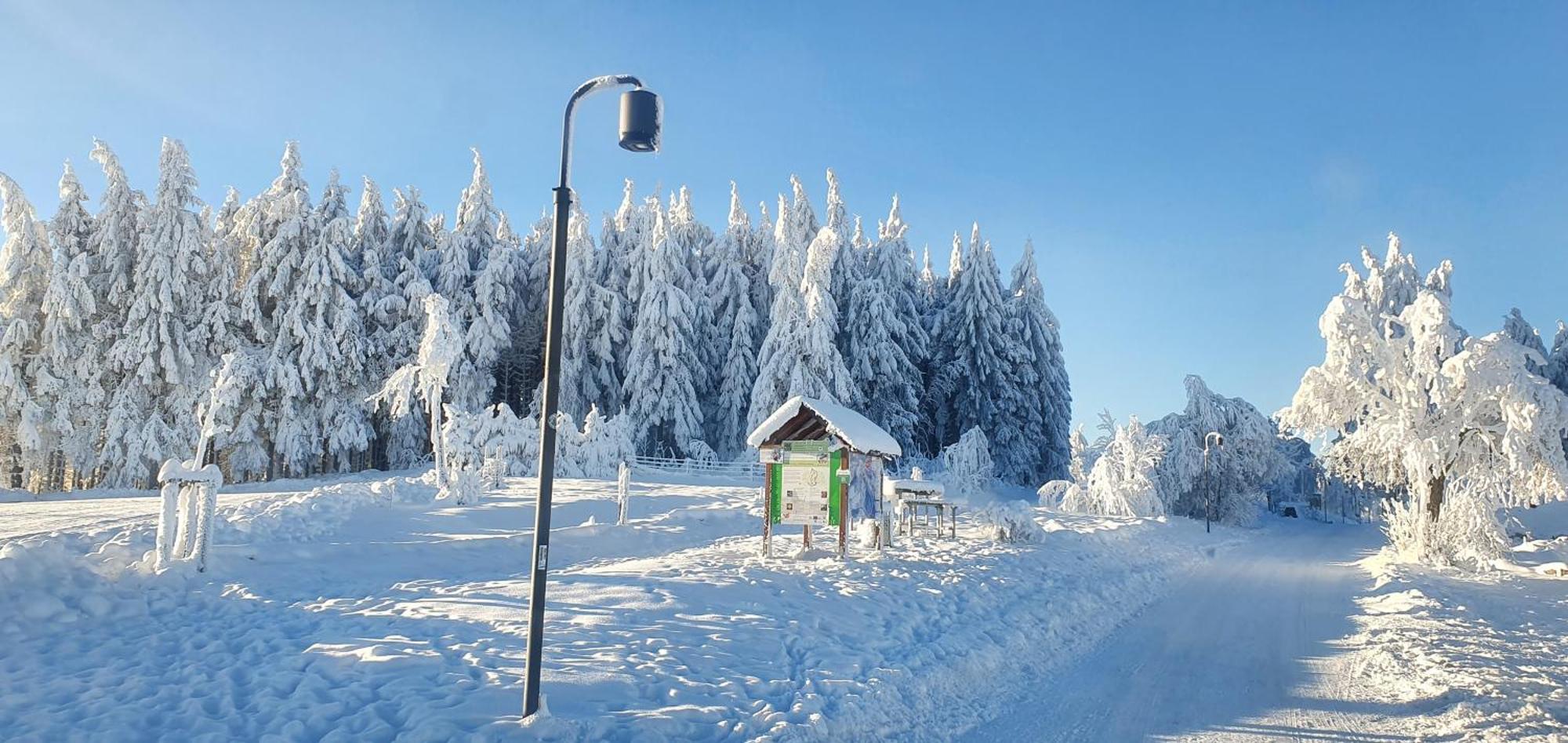 Apartamento Haus Schneider Winterberg Exterior foto